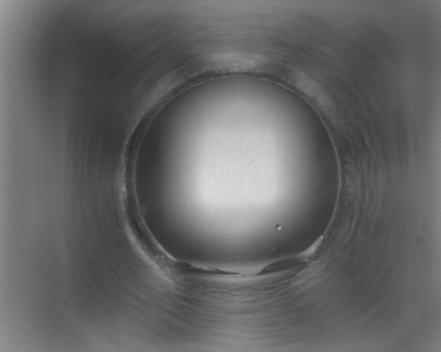 X0000069830582200605261843