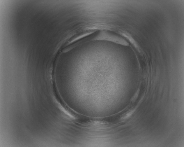 X0000069830585200605261843