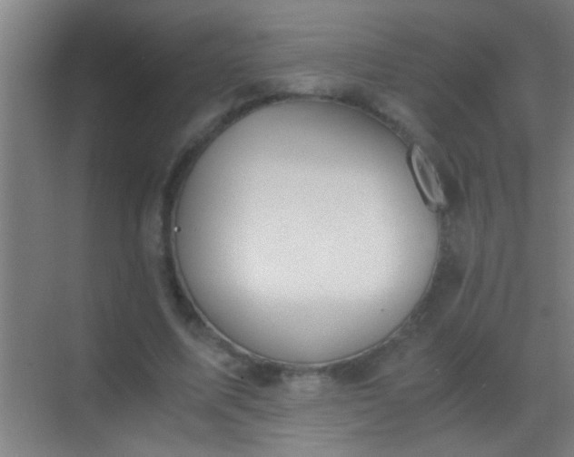 X0000069830587200605261843