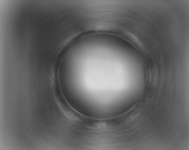 X0000069830588200605261843