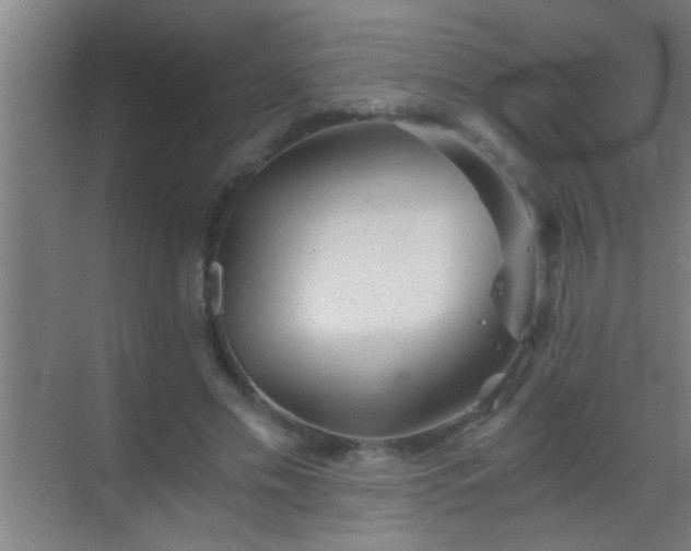 X0000069830589200605261843