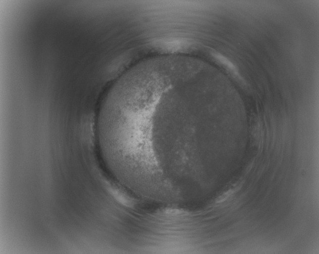 X0000069830590200605261843