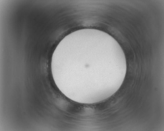 X0000069830592200605261843