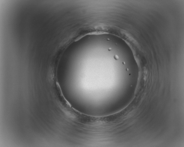 X0000069830593200605261843