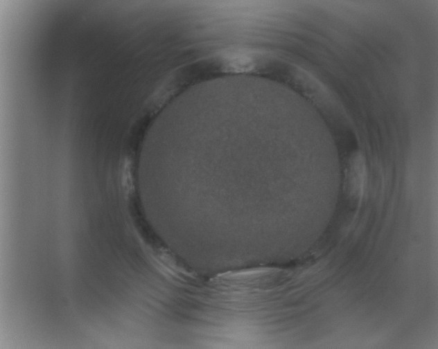 X0000069830598200605261843