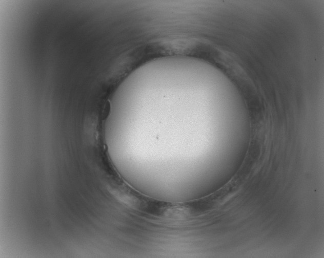 X0000069830599200605261843