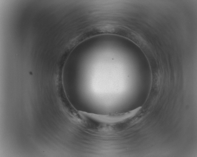 X0000069830600200605261843