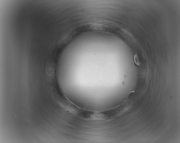 X0000069830603200605261843