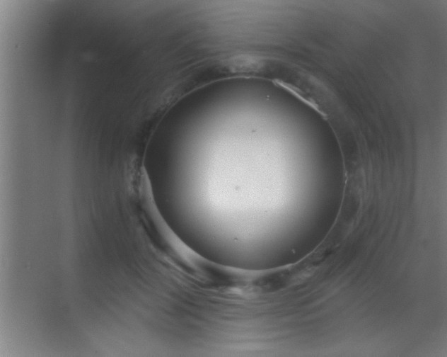 X0000069830604200605261843