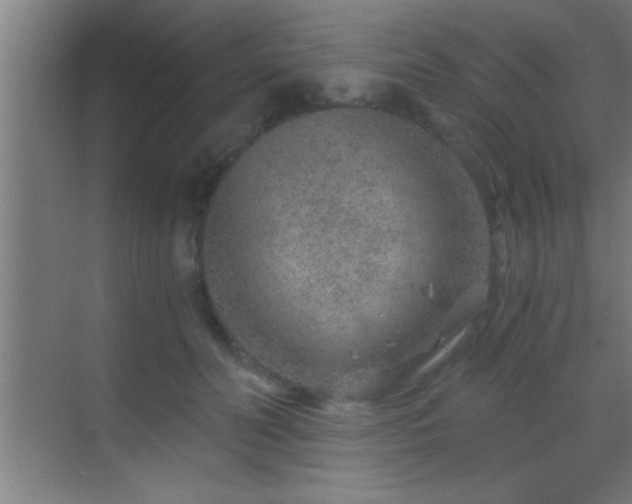 X0000069830606200605261843