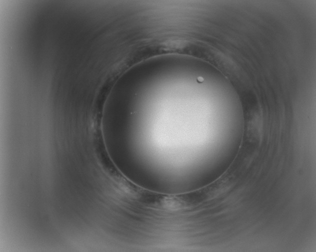 X0000069830608200605261843