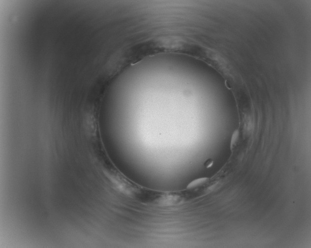 X0000069830609200605261843