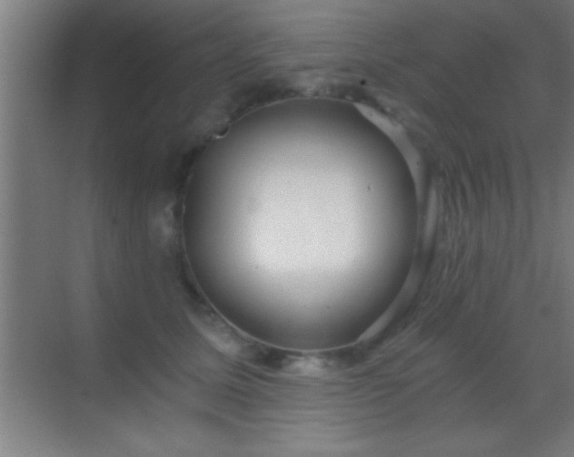 X0000069830611200605261843