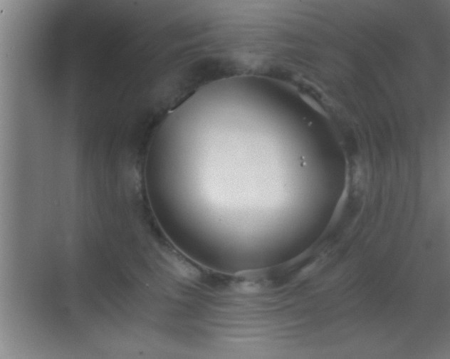 X0000069830613200605261843