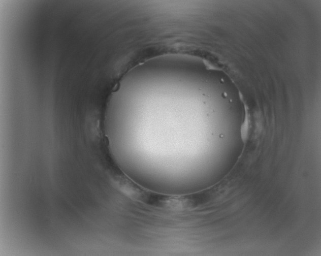 X0000069830615200605261843