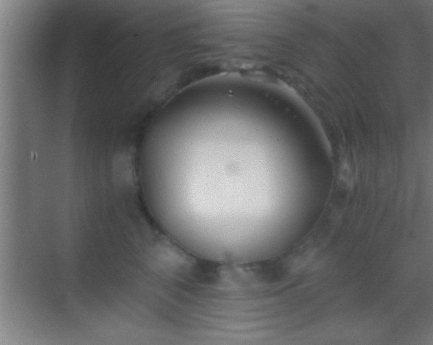 X0000069830616200605261843