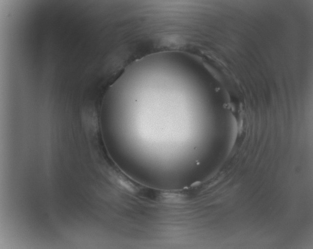 X0000069830617200605261842