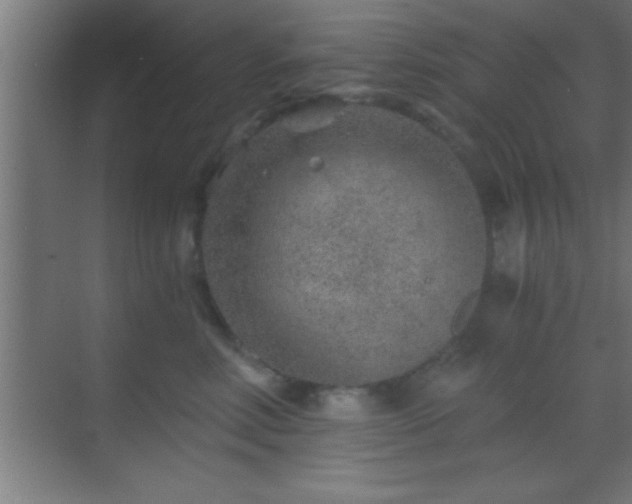 X0000069830618200605261842