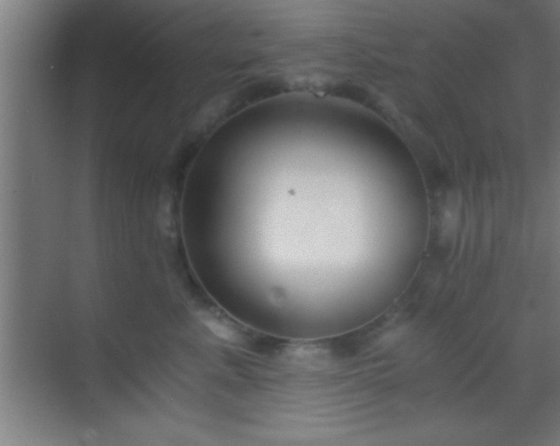 X0000069830619200605261842