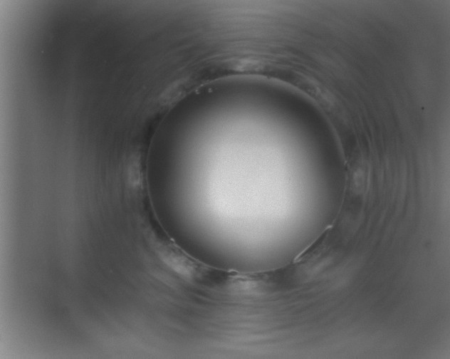 X0000069830620200605261842