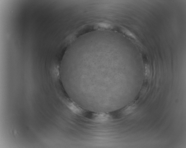 X0000069830621200605261842