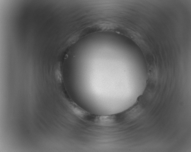 X0000069830622200605261842