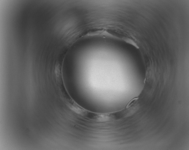 X0000069830623200605261842