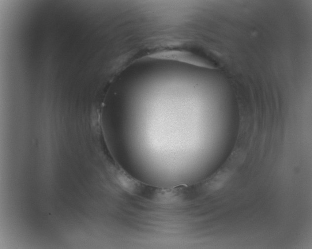 X0000069830624200605261842