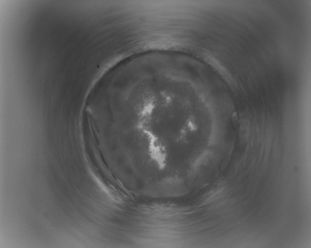 X0000069830626200605261842