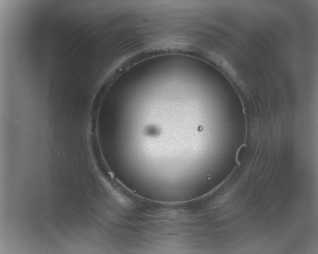 X0000069830629200605261842