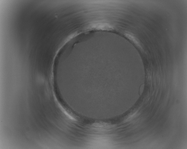 X0000069830630200605261842