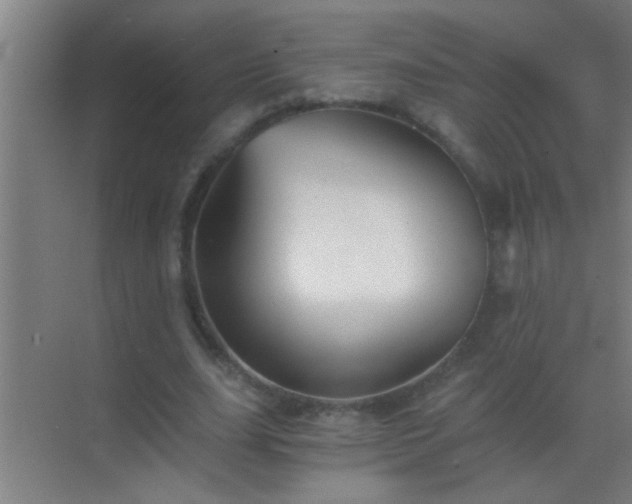 X0000069830631200605261842