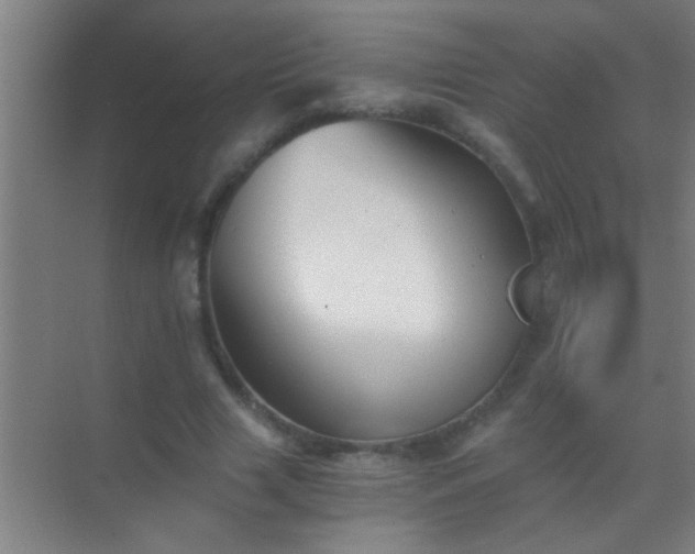 X0000069830633200605261842