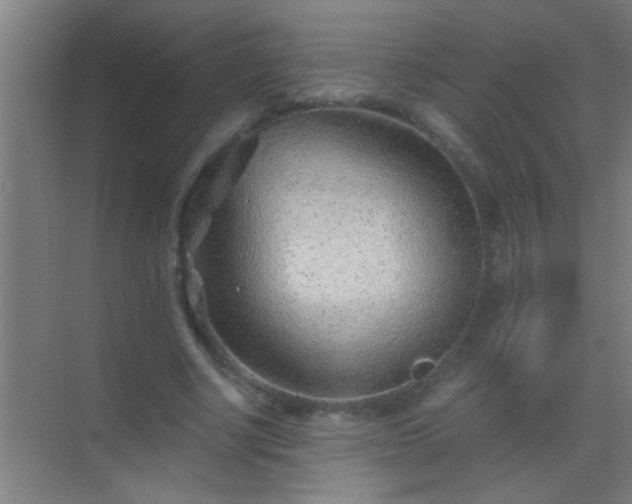 X0000069830634200605261842