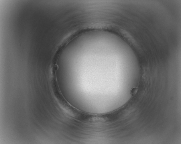 X0000069830636200605261842