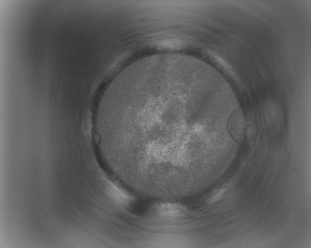 X0000069830637200605261842