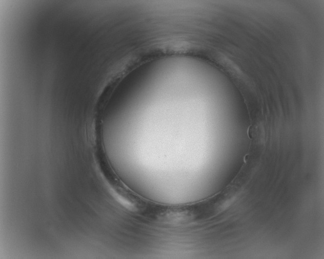 X0000069830638200605261842