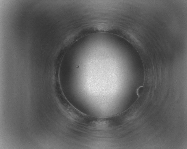 X0000069830639200605261842