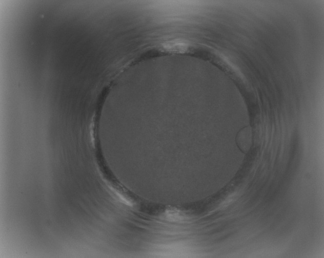 X0000069830641200605261842