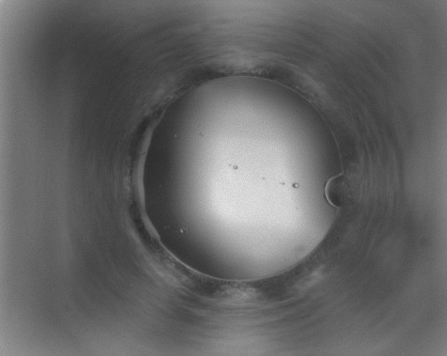 X0000069830642200605261842