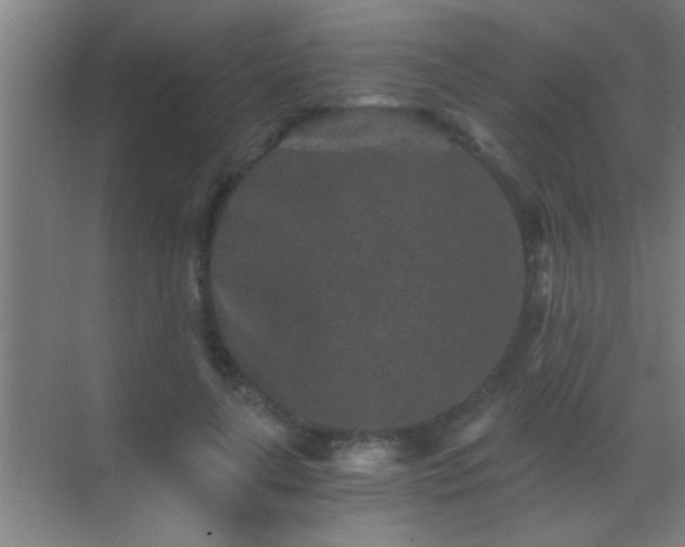 X0000069830643200605261842