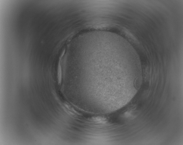 X0000069830644200605261842