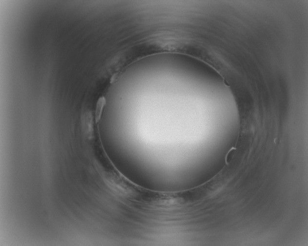 X0000069830646200605261842