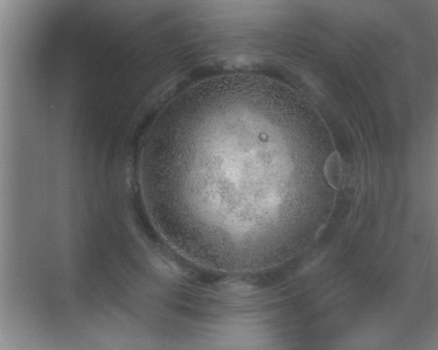 X0000069830648200605261842