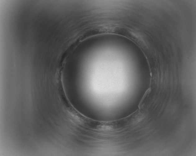 X0000069830649200605261842