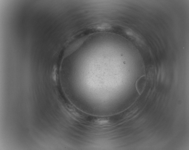 X0000069830651200605261842