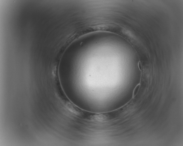 X0000069830652200605261842