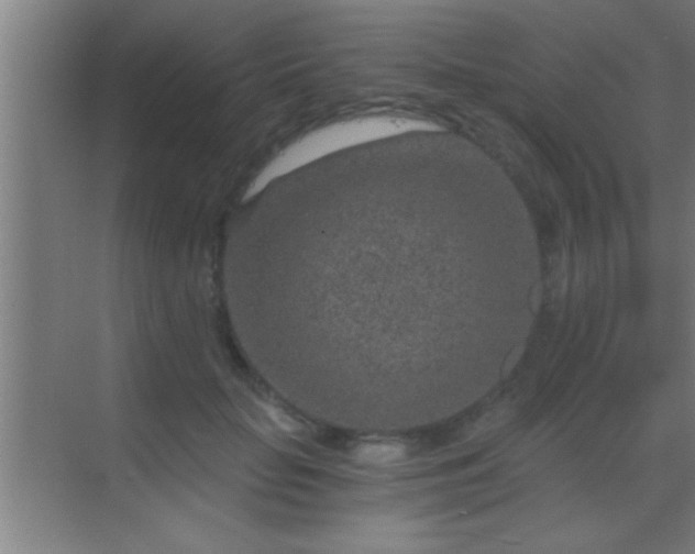 X0000069830653200605261842