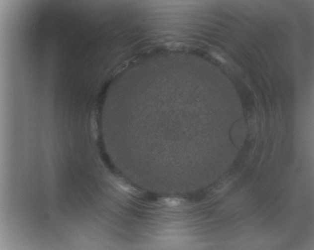 X0000069830654200605261842