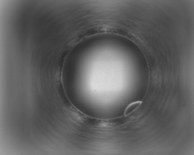 X0000069830657200605261842